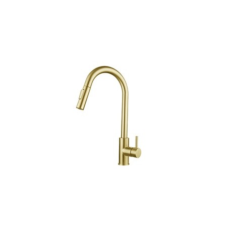 GRIFO NOVA FR37 DORADO
